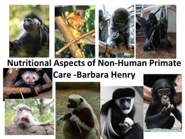 Nutritional Aspects of Non-Human Primate Care