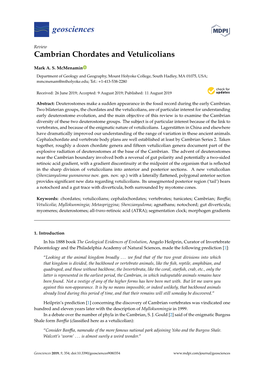 Cambrian Chordates and Vetulicolians