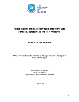 Palaeoecology and Palaeoenvironments of the Late Permian Zechstein Sea and Its Hinterlands