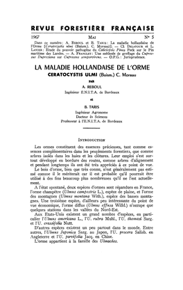 Revue Forestière Française La Maladie Hollandaise De L