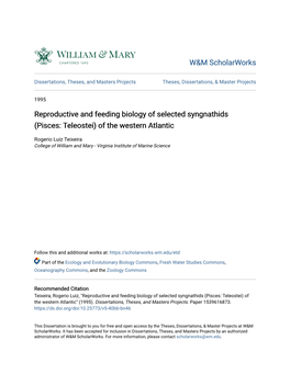 Reproductive and Feeding Biology of Selected Syngnathids (Pisces: Teleostei) of the Western Atlantic