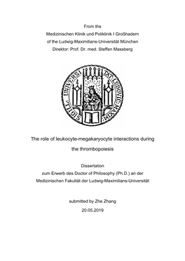 The Role of Leukocyte-Megakaryocyte Interactions During The