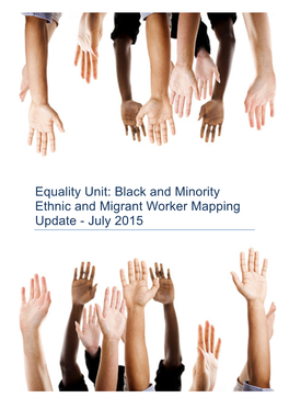 Black and Minority Ethnic and Migrant Worker Mapping Update - July 2015