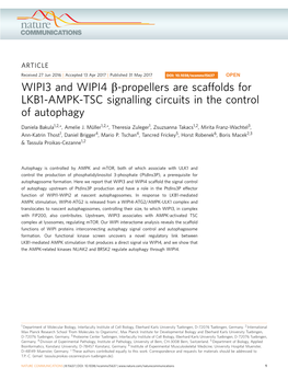 Propellers Are Scaffolds for LKB1-AMPK-TSC Signalling Circuits in the Control of Autophagy