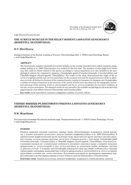 The Auricle Muscles in the Relict Rodent Laonastes Aenigmamus (Rodentia: Diatomyidae)