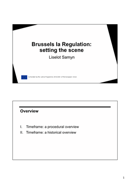 Brussels Ia Regulation: Setting the Scene Liselot Samyn