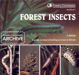 Forest Insects a Guide to Insects Feeding on Trees in Britain