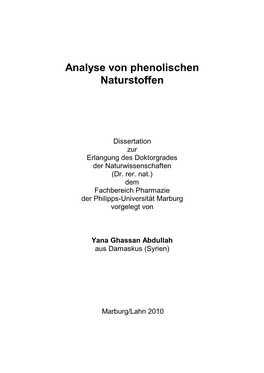 Titelblatt Der Dissertation