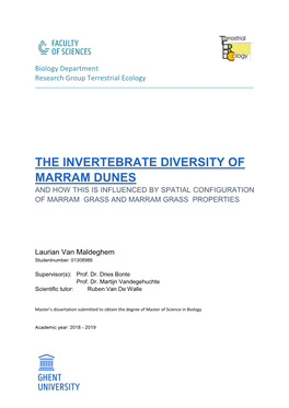 The Invertebrate Diversity of Marram Dunes and How This Is Influenced by Spatial Configuration of Marram Grass and Marram Grass Properties