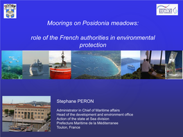 Role of the French Authorities in Environmental Protection Peron