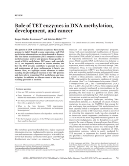 Role of TET Enzymes in DNA Methylation, Development, and Cancer