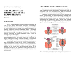 Male and Female Circumcision, Edited by Denniston Et