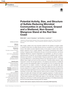 Potential Activity, Size, and Structure of Sulfate-Reducing Microbial