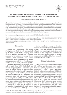 Annonaceae): Cortical Vascular Systems in a Chaotic Pattern