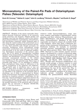 Microanatomy of the Pairedfin Pads of Ostariophysan Fishes (Teleostei
