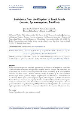 Labiobaetis from the Kingdom of Saudi Arabia (Insecta, Ephemeroptera, Baetidae)