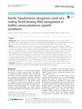 Rsmw, Pseudomonas Aeruginosa Small Non-Coding Rsma-Binding