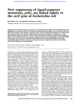 The Sece Gene of Escherichia Coli