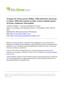 (Pallas, 1766) and Porites Divaricata Le Sueur, 1820 and Remarks on Other Western Atlantic Species of Porites (Anthozoa: Scleractinia) Author(S): Stephen C