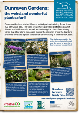 Dunraven Gardens: the Weird and Wonderful Plant Safari!