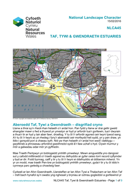 NLCA45 Taf and Tywi Estuaries