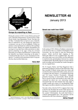 NEWSLETTER 48 LEICESTERSHIRE January 2013 ENTOMOLOGICAL SOCIETY