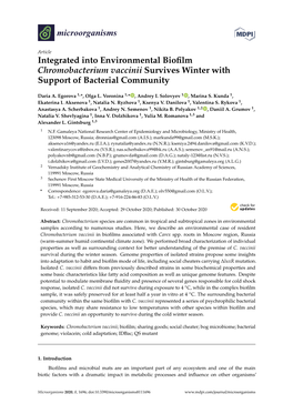 Integrated Into Environmental Biofilm Chromobacterium Vaccinii Survives