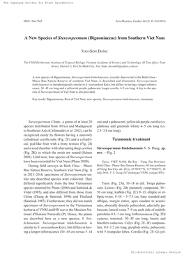 A New Species of Stereospermum (Bignoniaceae) from Southern Viet Nam