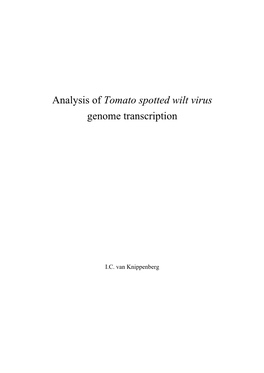 Analysis of Tomato Spotted Wilt Virus Genome Transcription