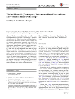 The Bubble Snails (Gastropoda, Heterobranchia) of Mozambique: an Overlooked Biodiversity Hotspot