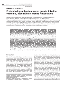 Proteorhodopsin Light-Enhanced Growth Linked to Vitamin-B1 Acquisition in Marine Flavobacteria