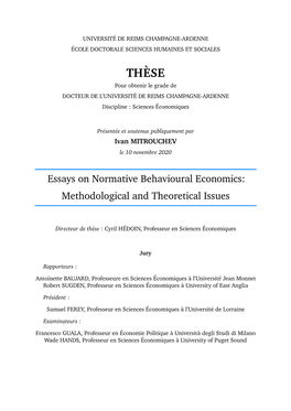 Normative Behavioural Economics: Methodological and Theoretical Issues