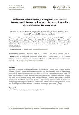 Kalbionora Palaeotropica, a New Genus and Species from Coastal Forests in Southeast Asia and Australia (Malmideaceae, Ascomycota)