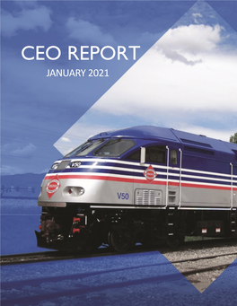 Ceo Report January 2021