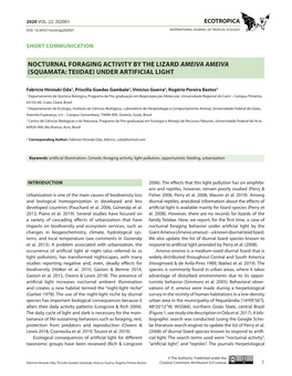 Nocturnal Foraging Activity by the Lizard Ameiva Ameiva (Squamata: Teiidae) Under Artificial Light