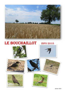 LE Bouchaillot INFO 2018