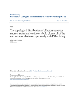 The Topological Distribution of Olfactory Receptor Neuron Axons in The