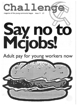 Adult Pay for Young Workers Now