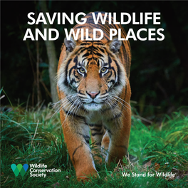 Saving Wildlife and Wild Places