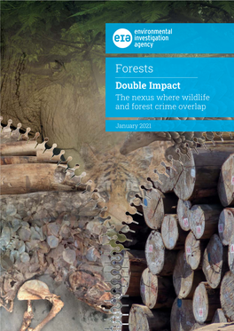 Forests Double Impact the Nexus Where Wildlife and Forest Crime Overlap