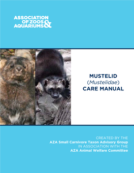 MUSTELID (Mustelidae) CARE MANUAL