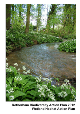 Rotherham Biodiversity Action Plan 2012 Wetland Habitat Action Plan Contents Contents