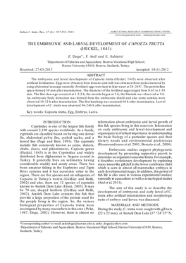 The Embryonic and Larval Development of Capoeta Trutta (Heckel, 1843)