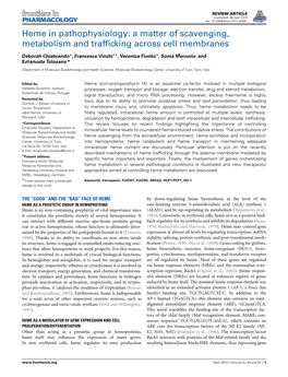 Heme in Pathophysiology: a Matter of Scavenging, Metabolism and Trafﬁcking Across Cell Membranes