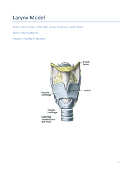 Larynx Model