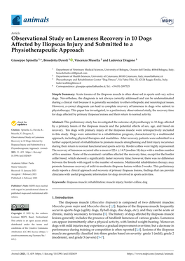 Observational Study on Lameness Recovery in 10 Dogs Affected by Iliopsoas Injury and Submitted to a Physiotherapeutic Approach