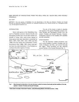 New Species of Radiolitidae from the Bolu Area (W