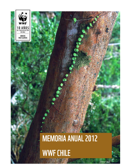 Memoria Anual 2012 Wwf Chile