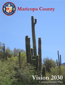 Maricopa County's Vision 2030 Comprehensive