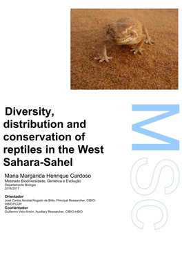Diversity, Distribution and Conservation of Reptiles in the West